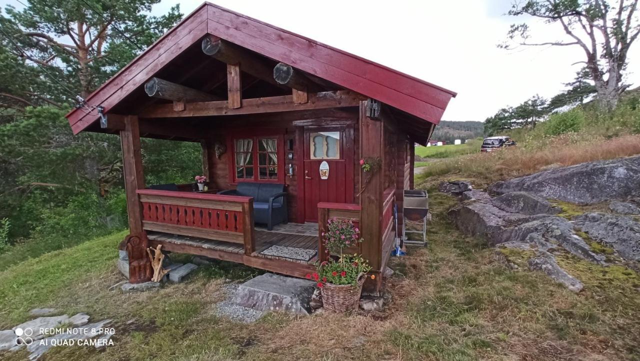 Suigard Smia Villa Sauland Екстериор снимка