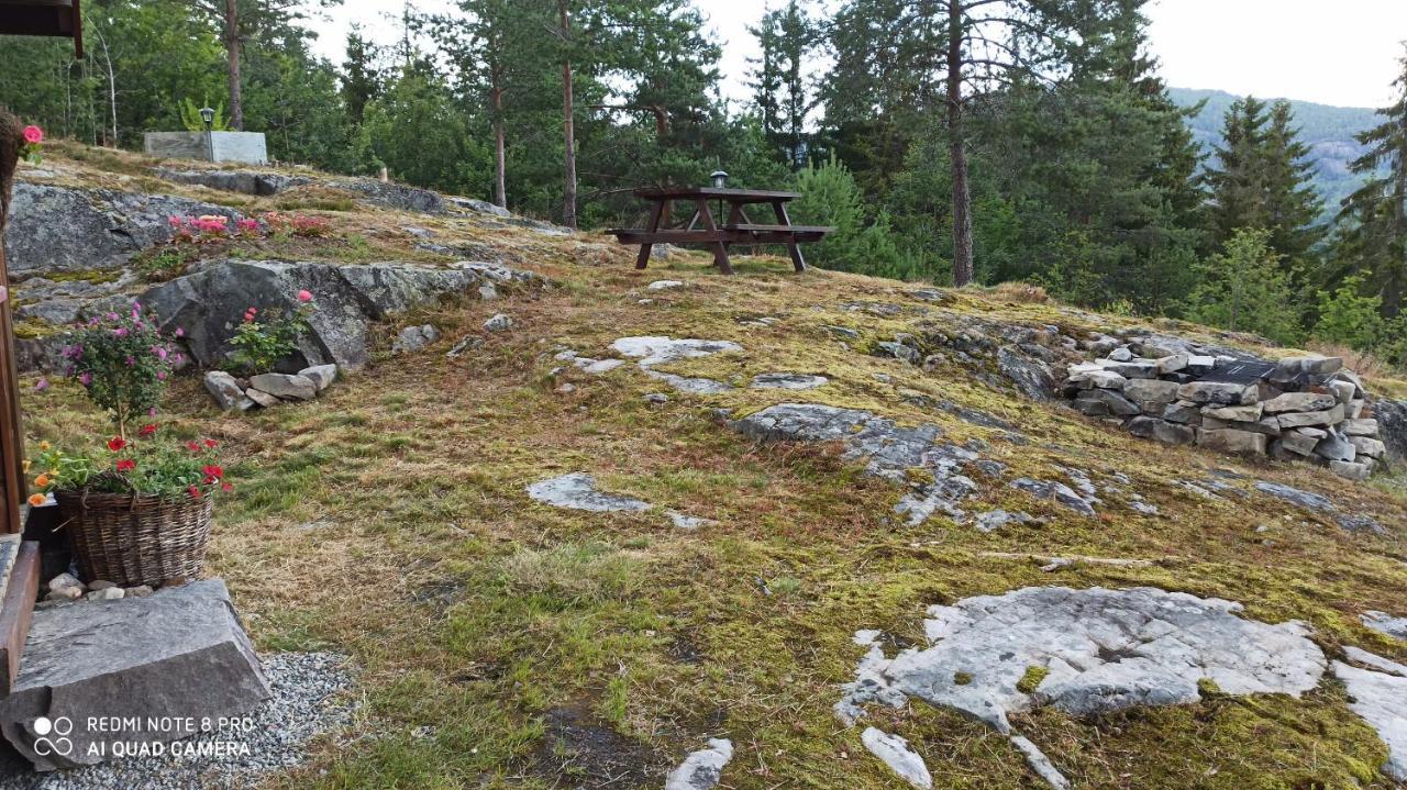 Suigard Smia Villa Sauland Екстериор снимка